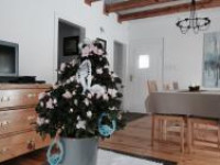 image3 (1)